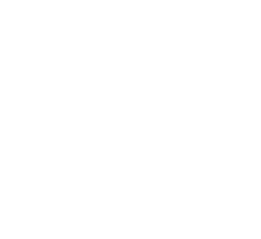 Project type baeredygtighed