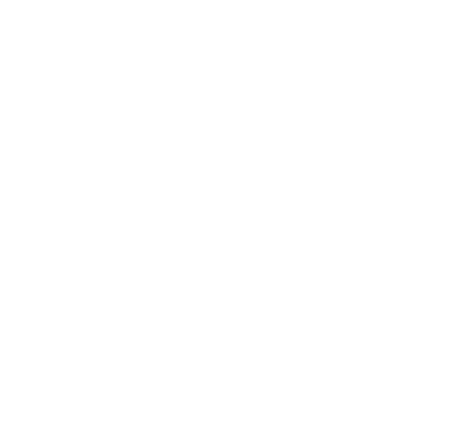 Project type diversitet