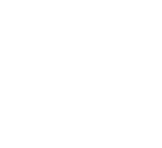 Project type innovation